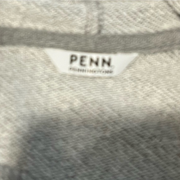 🩶 PENN Glittery Light Grey Hoodie – Size 1X - Picture 2 of 9